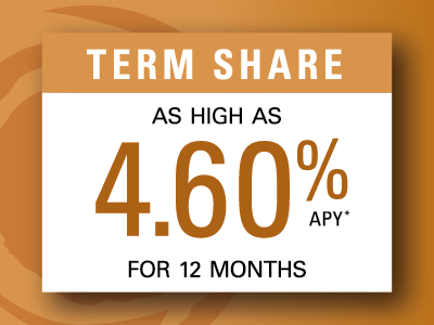 Term share 12 months rate as high as 4.60%