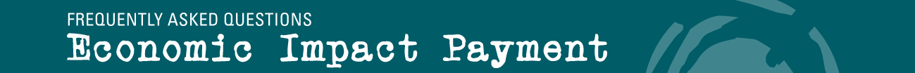 Economic Impacy Payment FAQ